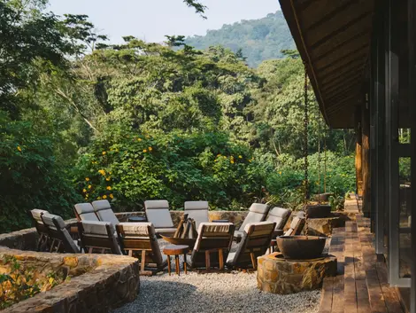 Gorilla Forest Lodge | Uganda | Tribù Travel