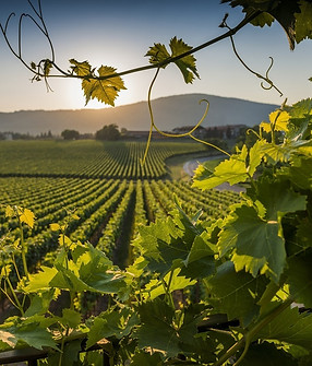 la-franciacorta.jpeg