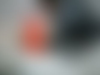 5 Joys of Adopting a Special Needs Pet