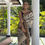 Thumbnail: Kalamkari print chennur silk sarees with Nizzam zari border