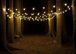 Outside Lighting, Outside Weddings 