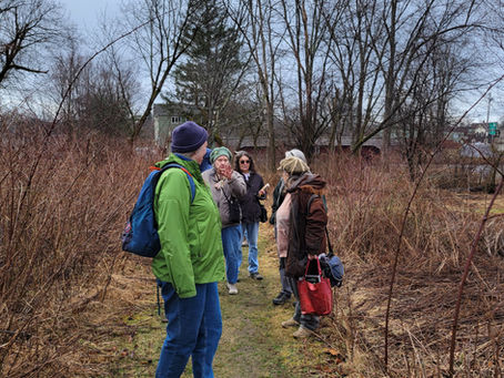 Getting a quick walk in at the Alan E. Rich Environmental Park before rain on March 15,2024