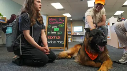 From Haus-Neufus Bloodlines to Therapy Work: Meet Grimm