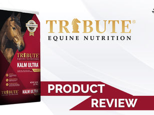Tribute Kalm Ultra Product Review