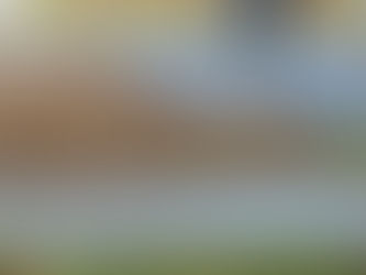 The Different Types of Lawn Equipment You Need for Fall Maintenance