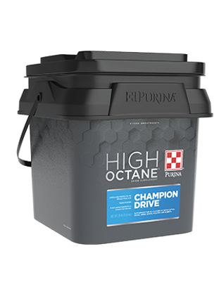 Products_Show_HighOctane_ChampionDrive.p