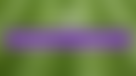 Lawn Aeration & Overseeding in Charlotte NC: Essential Steps for a Healthy Yard