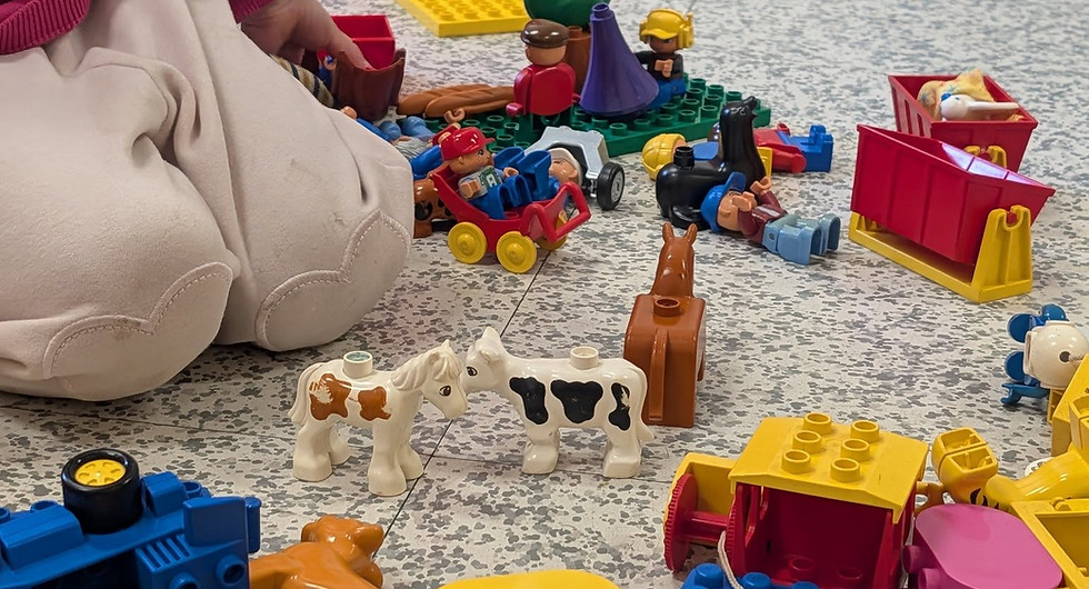 558154895_4334173676814062_3974457013237357594_n.jpg