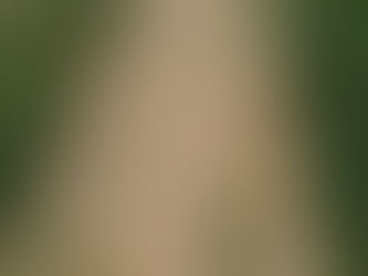 Following the science (May 17th) by Oli