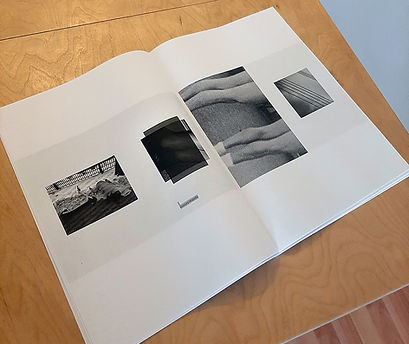 Renegades publication