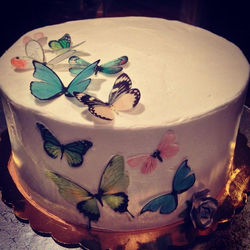 All Edible Butterflies