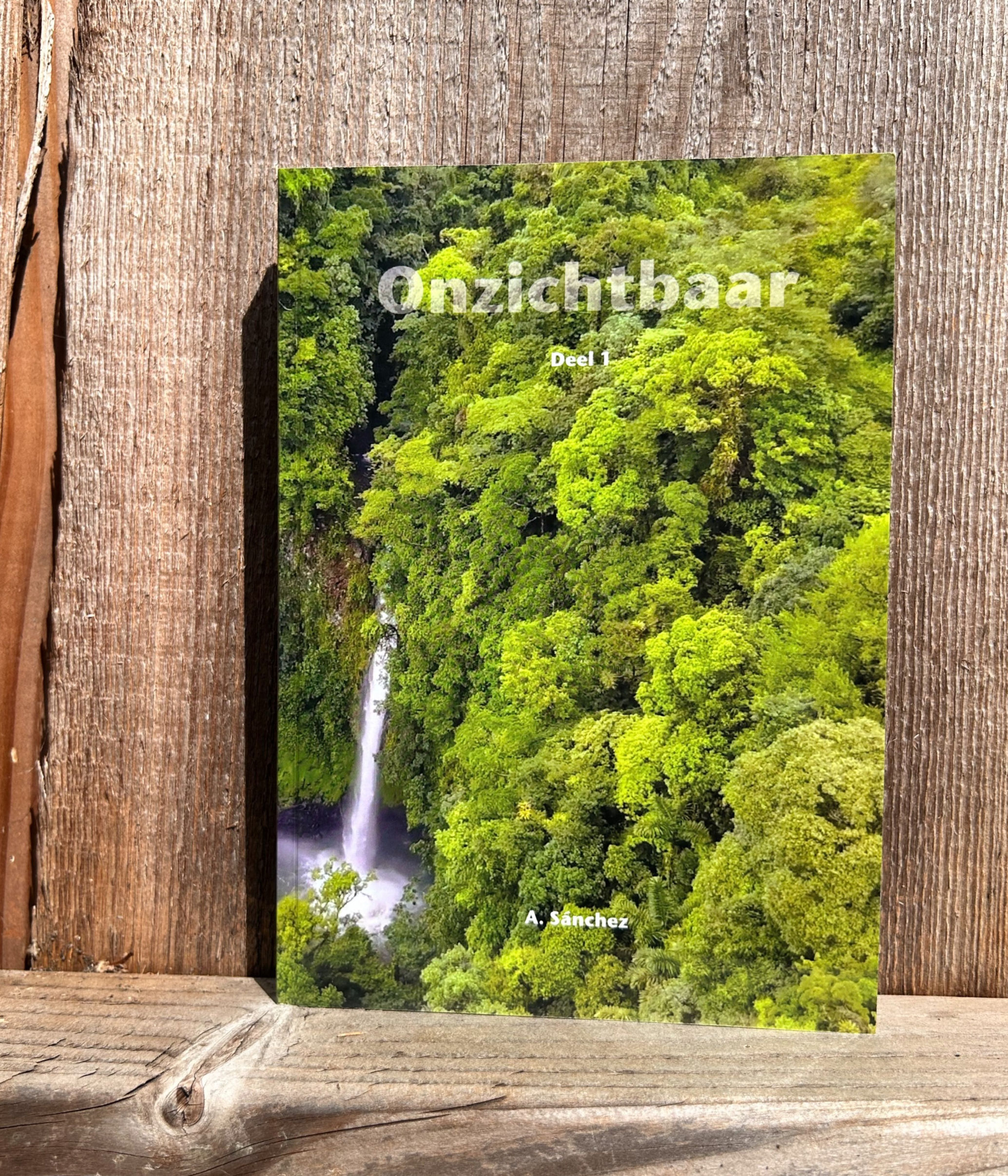 ONZICHTBAAR / Deel I / 12+ / Avonturenverhaal