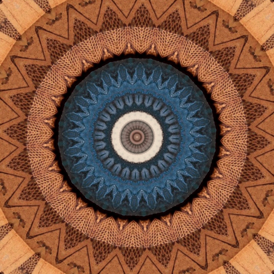 1_0_GIF_2 13.GIF