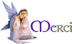 merci041pn.gif