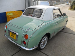 fig pics emerald 002