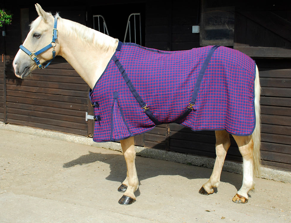 Thumbnail: Rhinegold Cooler Rug