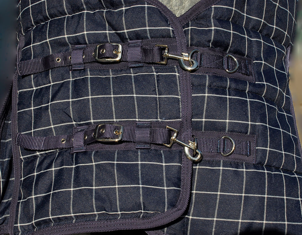 Thumbnail: Rhinegold ‘Dakota’ Full Neck Stable Quilted Rug
