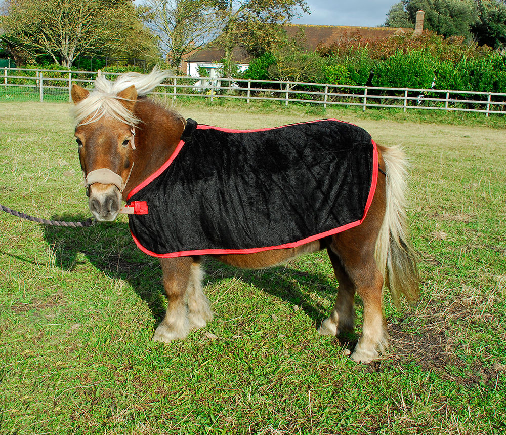 Small Pony Coral Fleece Rugs Black Fleece, Red Binding