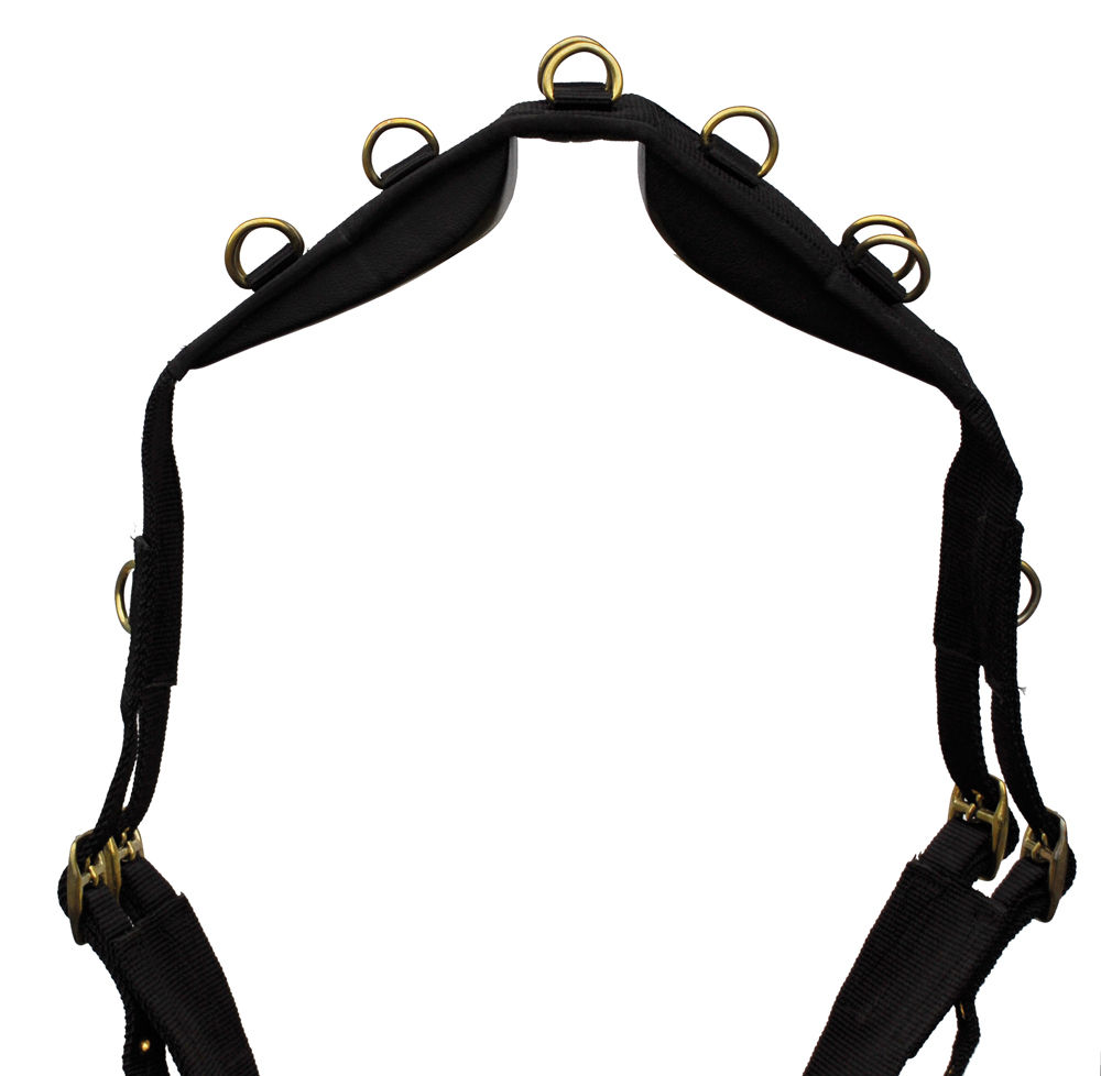 Windsor Nylon Lunging Roller Twin Straps