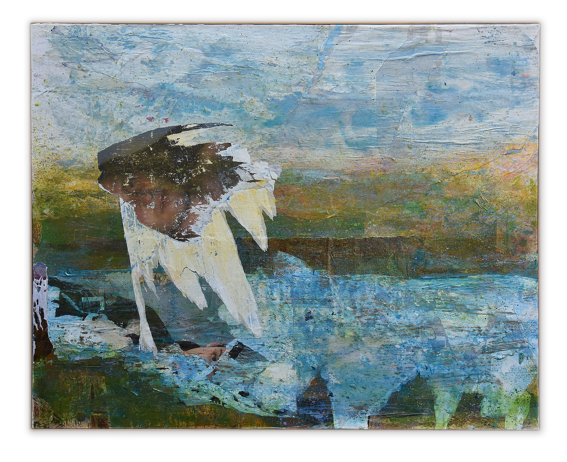 fishfly 48"x60" summer 2017