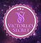Logo V&S.png