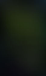 Fishes Dreams in the Sea