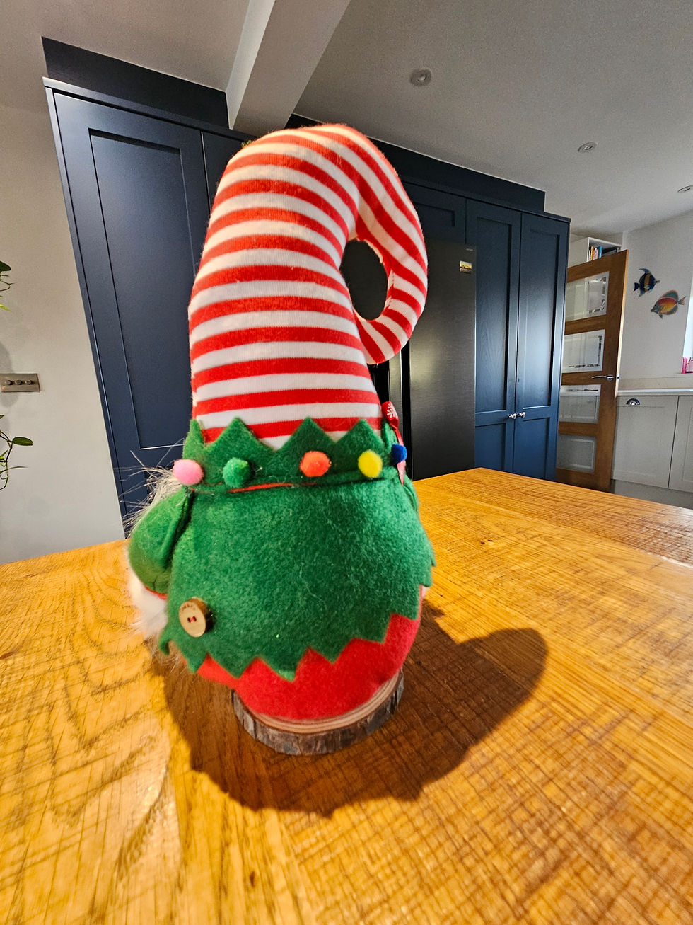 Thumbnail: Christmas Elf