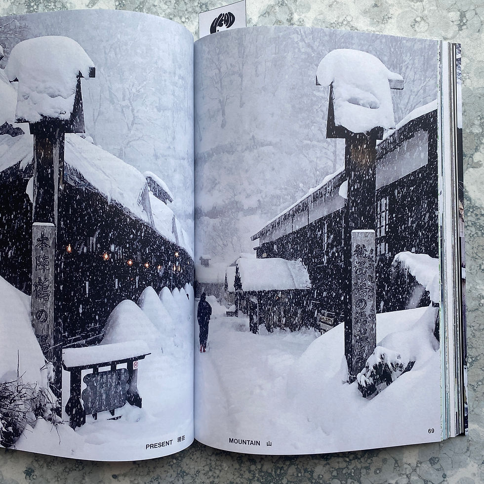 Thumbnail: Towards a Nude Architecture: A Visual Compendium of Japanese Hot Springs