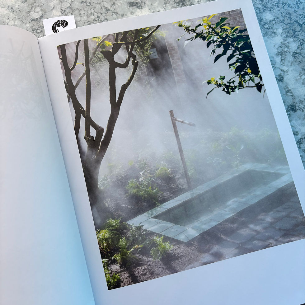 Thumbnail: Ben Thorp Brown: Cura's Garden