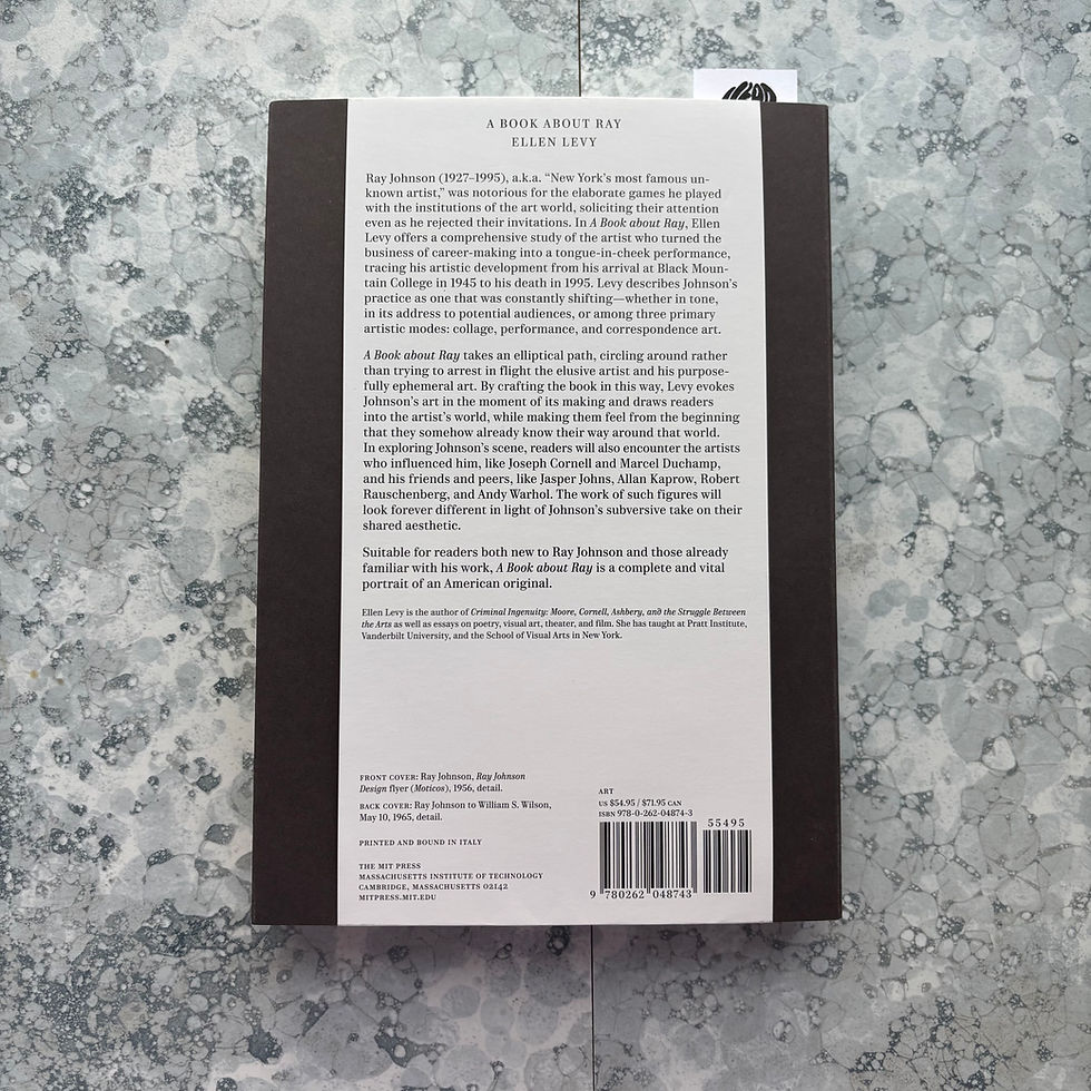 Thumbnail: A Book about Ray