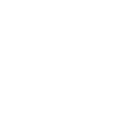 HeadHi Logo - white text transparent background.png