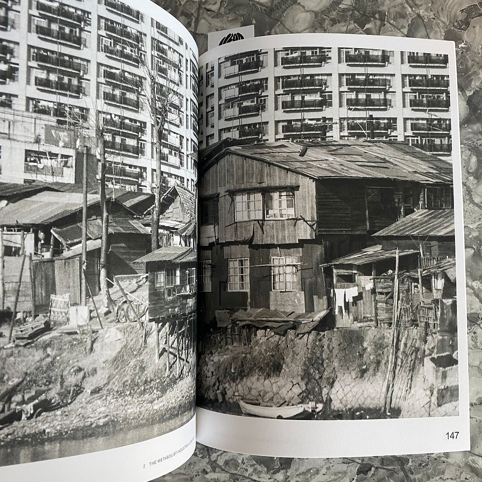 Thumbnail: Digesting Metabolism: Artificial Land in Japan 1954-2022