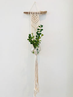 Driftwood wall plant hanger