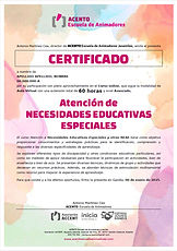 Certificado NECESIDADES EDUC ESPECIALES (a)