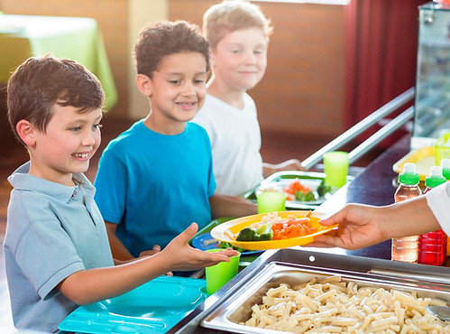 49 MANIPULADOR ALIMENTOS.jpg