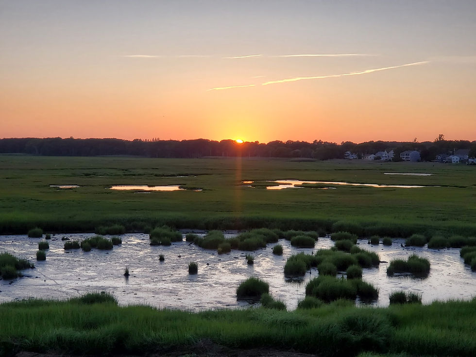 Hampton Salt Marsh Conservation Area