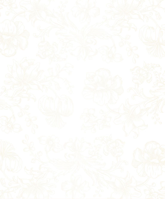 BG_Muster-weiss-beige.jpg