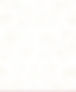 BG_Muster-weiss-beige.jpg
