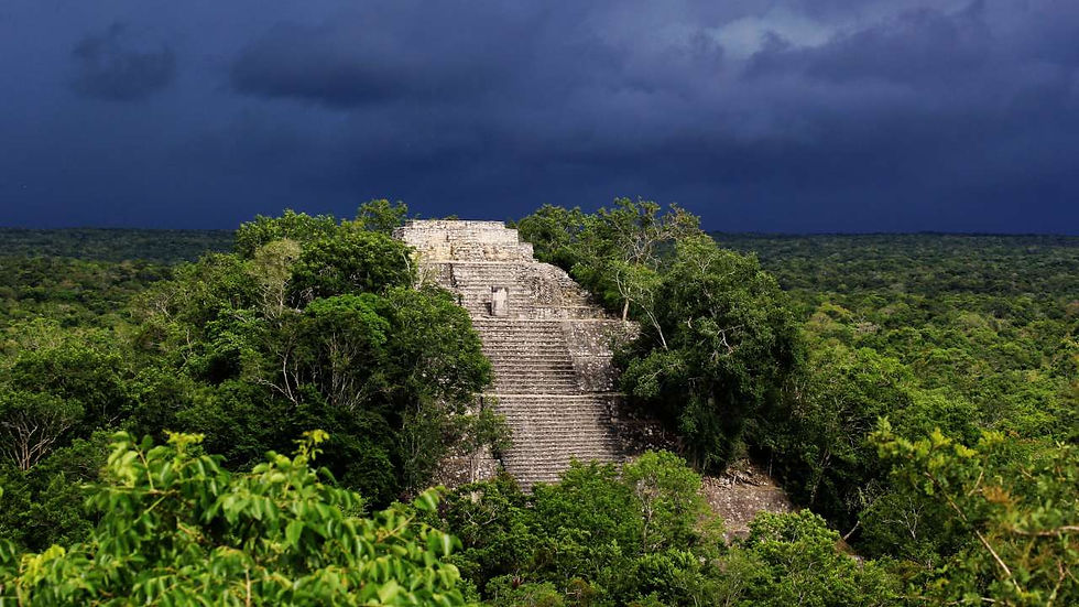 Doctors In Business Journal, Luke Auld-Thomas, a PhD student discovers lost Mayan City
