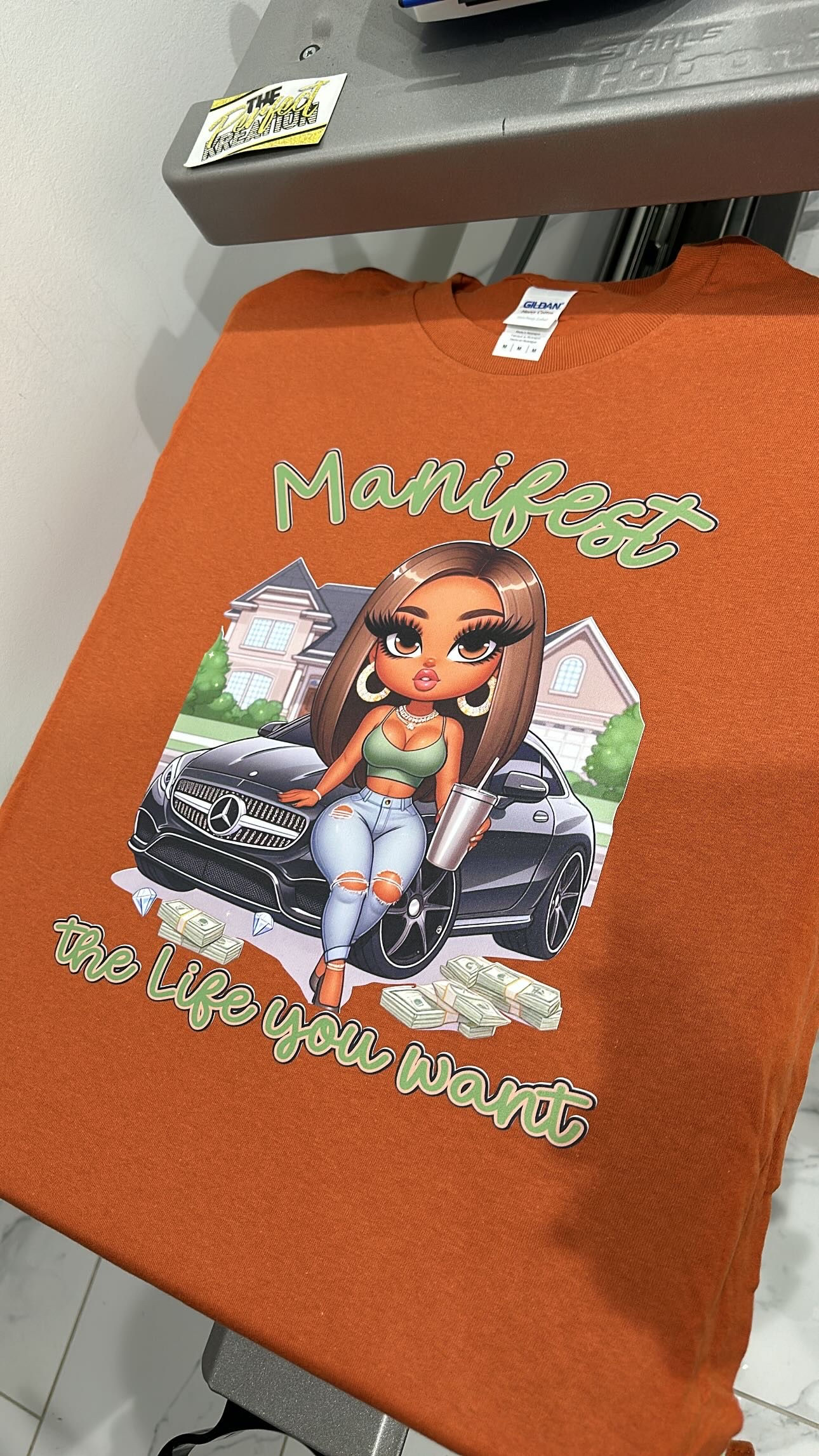 Manifest the life you want