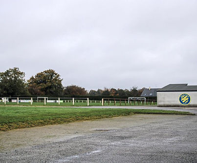 479566cb4eb86a88228881a1d0b9f44b_Stade_et_t.jpg
