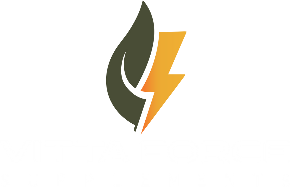 NOVO LOGO.png