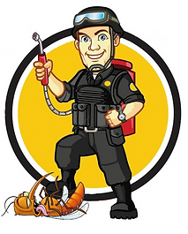 SWT Pest Control Logo