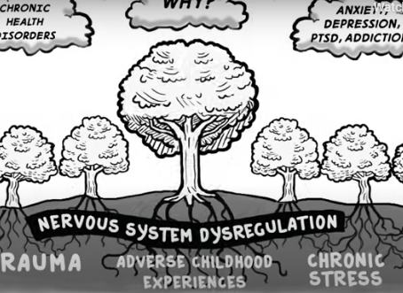 Trauma and the Nervous System - A Polyvagal Perspective