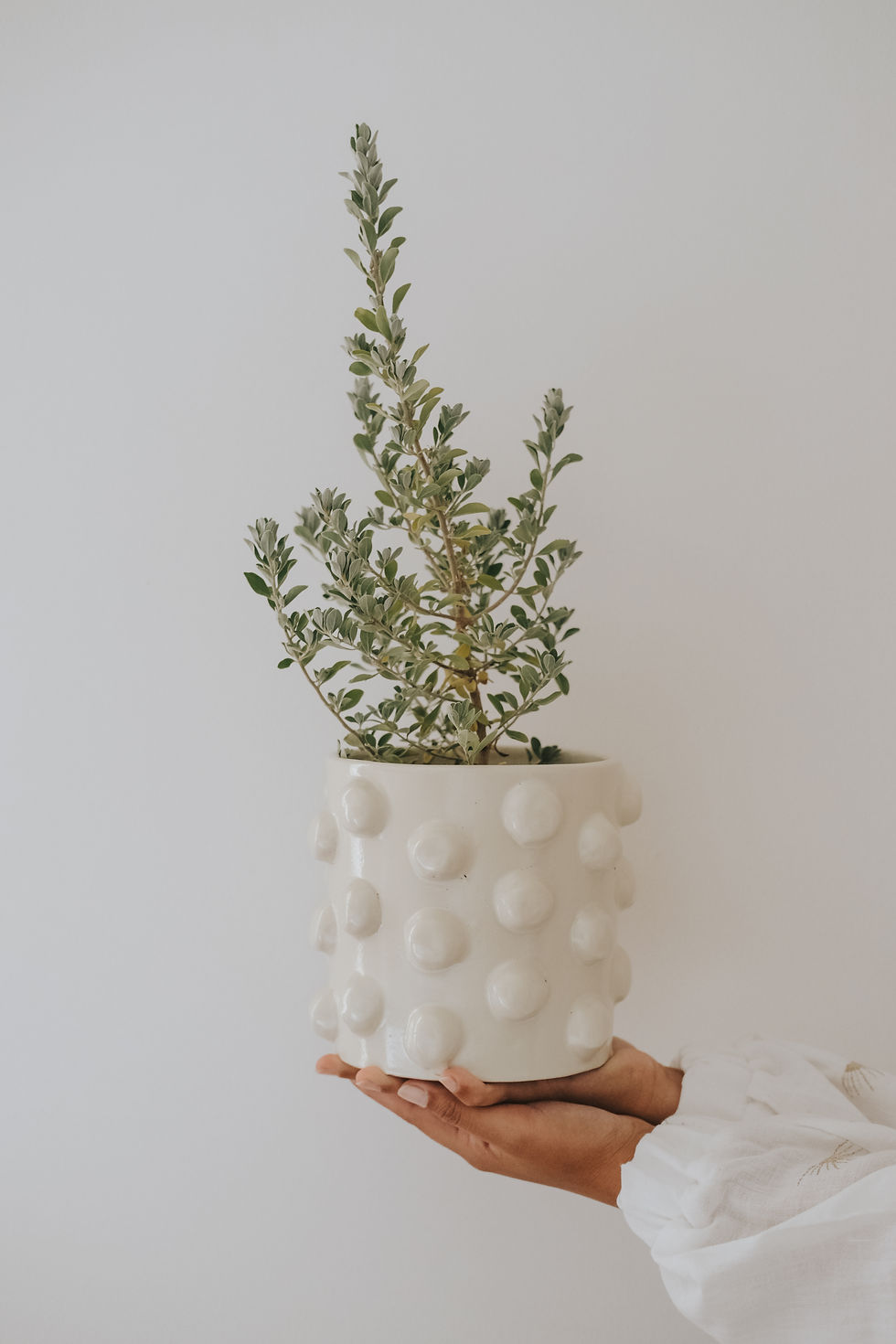 Thumbnail: Bubble Pots