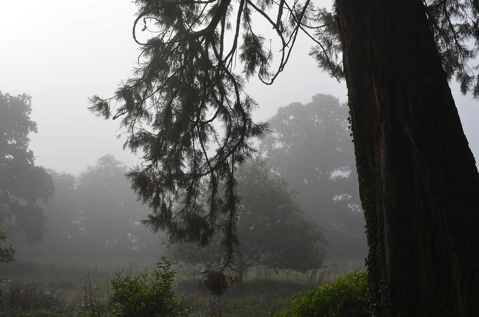 Thumbnail: Pictures around Respryn, Cornwall. UK