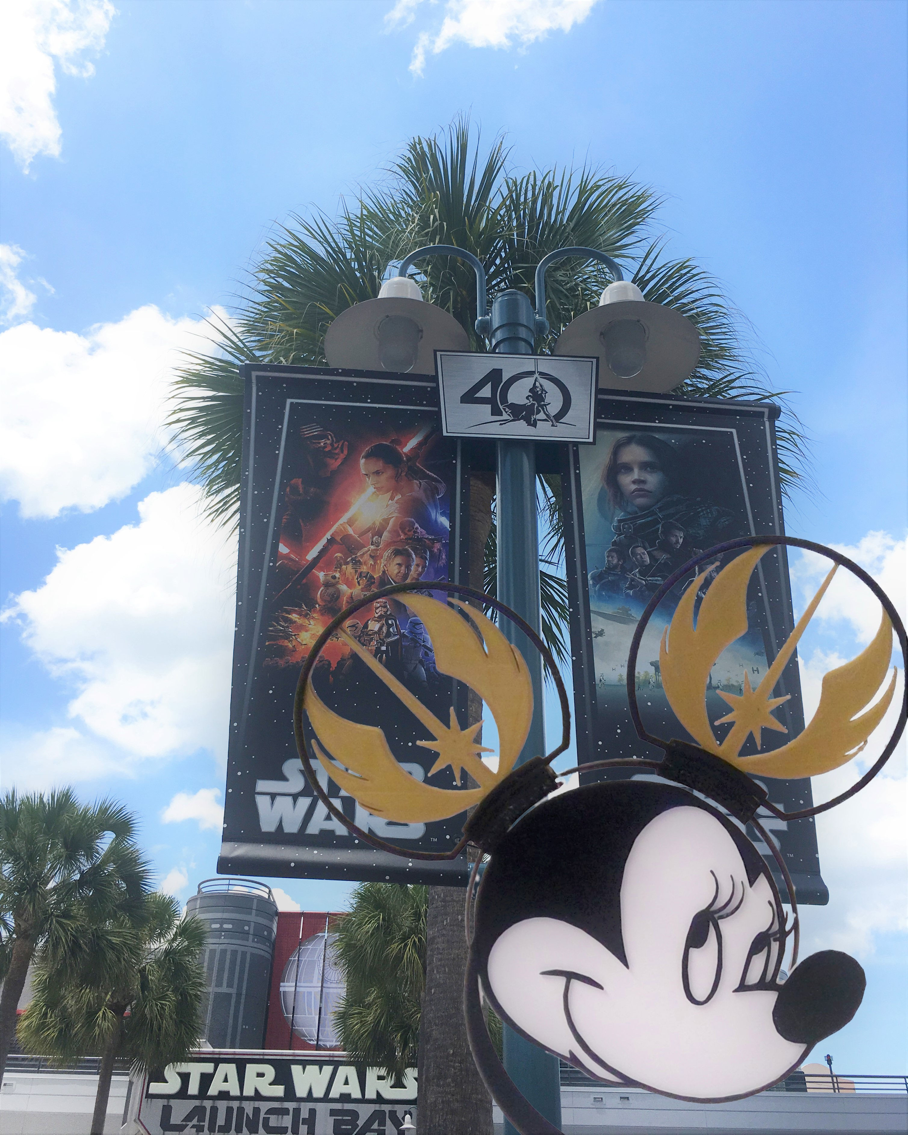 Disney Ears with a Star Wars, JEDI ORDER Theme.