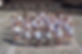 CampusSemana3_27.JPG