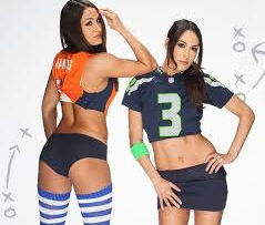 Why Splitting The Bella Twins is Bad for Business