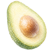 avocado.png